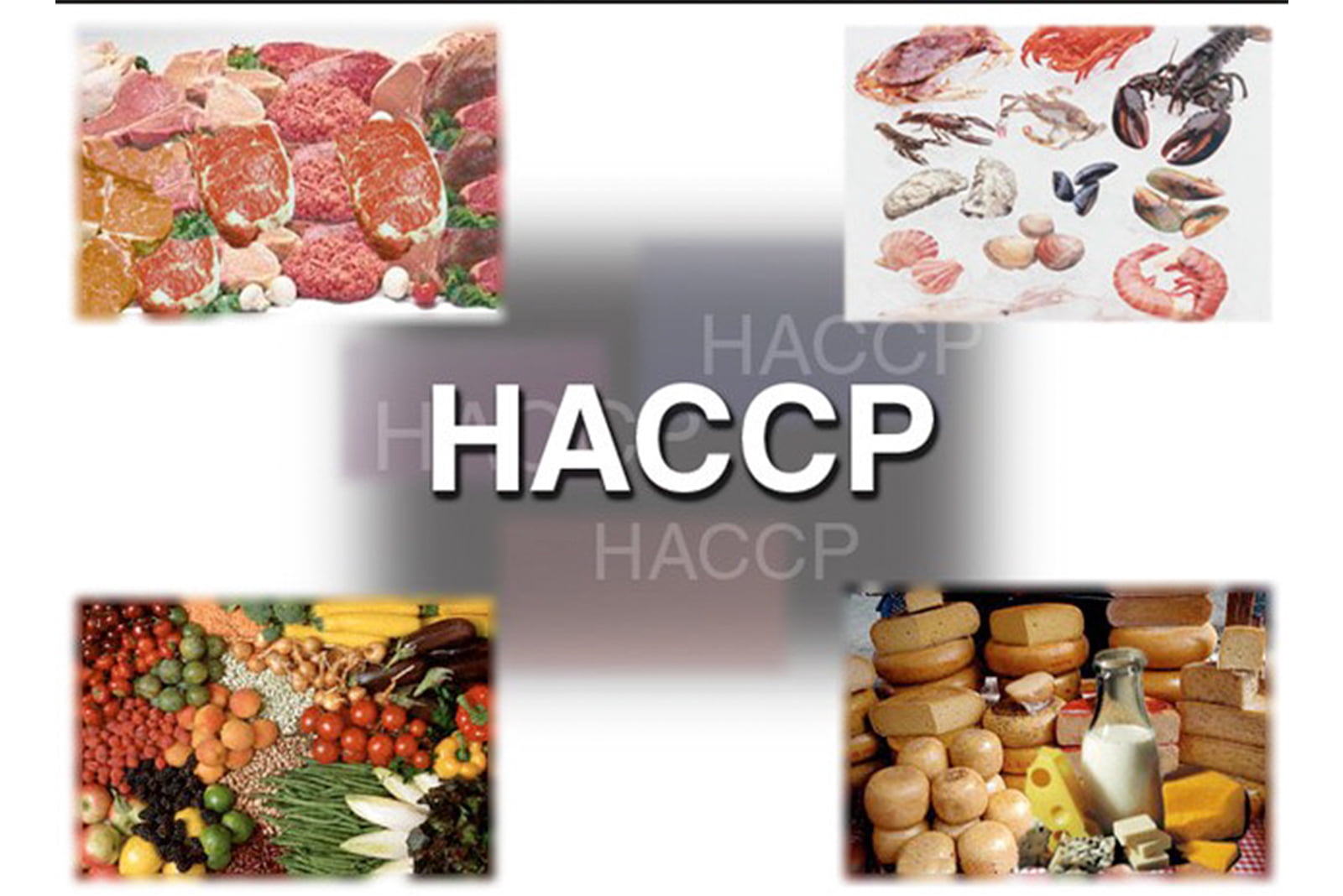 HACCP trong bếp công nghiệp