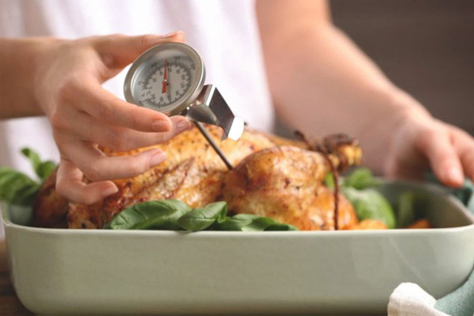 haccp: kiểm tra nhiệt độ thực phẩm