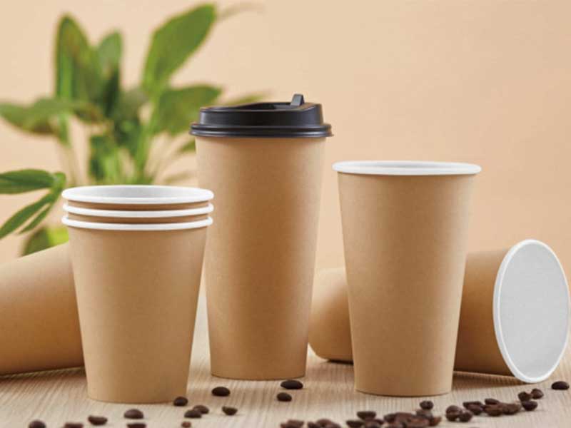 Các loại túi, ly, ống hút dùng một lần