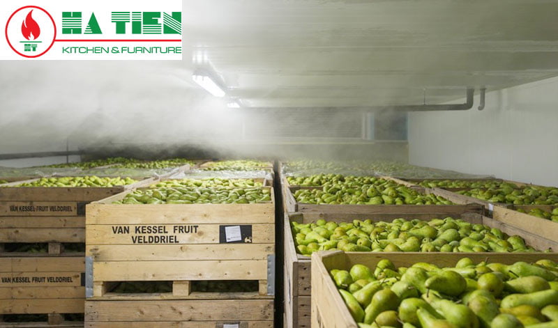 Kho lạnh bảo quản trái cây