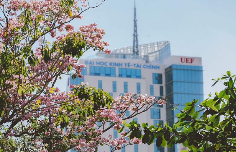 Thi công thiết kế nhà bếp trường Đại học Kinh tế - Tài Chính UEF