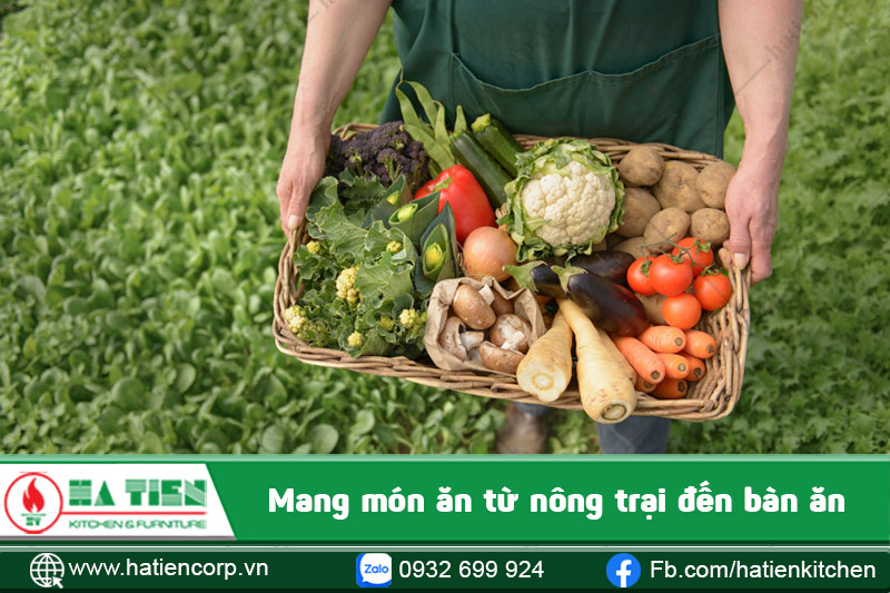 Ý tưởng kinh doanh nhà hàng mang thực phẩm sạch từ nông trại đến bàn ăn 