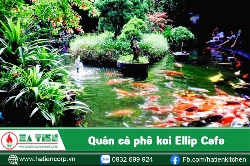 quán cà phê cá koi 10