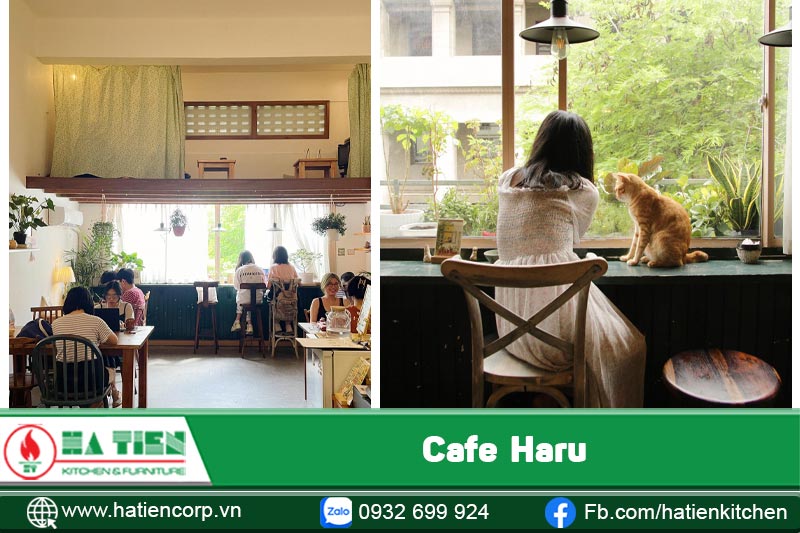 quán cà phê hàn quốc 4