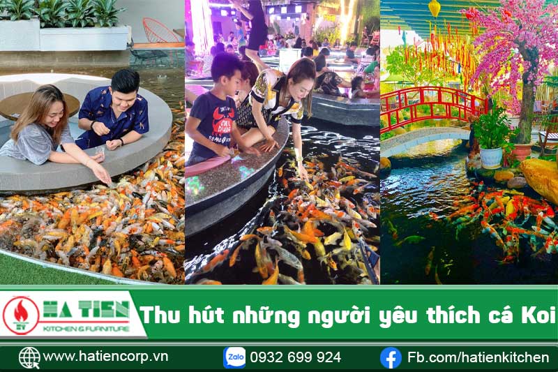 thiết kế quán cà phê cá koi 2