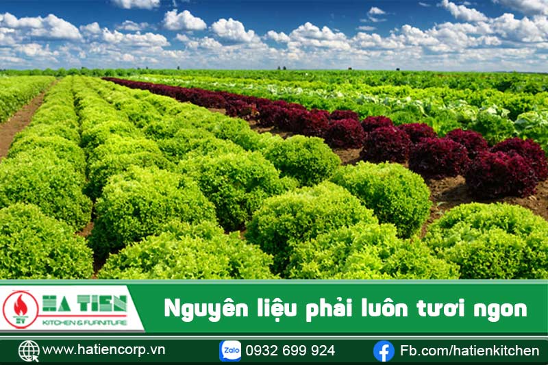 thực đơn nhà hàng âu 1