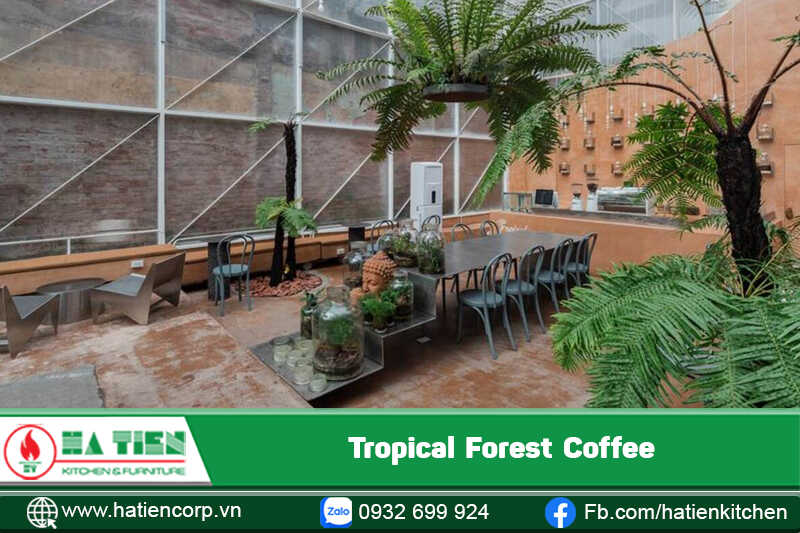 Tropical Forest Coffee không gian nhẹ nhàng yên tĩnh thư giản đầu óc