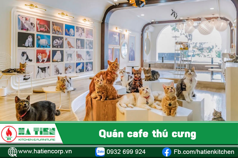 ý tưởng thiết kế quán cà phê 13