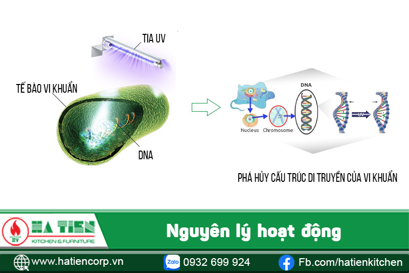 Nguyên lý hoạt động của tủ