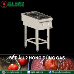 bếp âu công nghiệp 2 họng