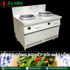 bếp từ công nghiệp 2 họng