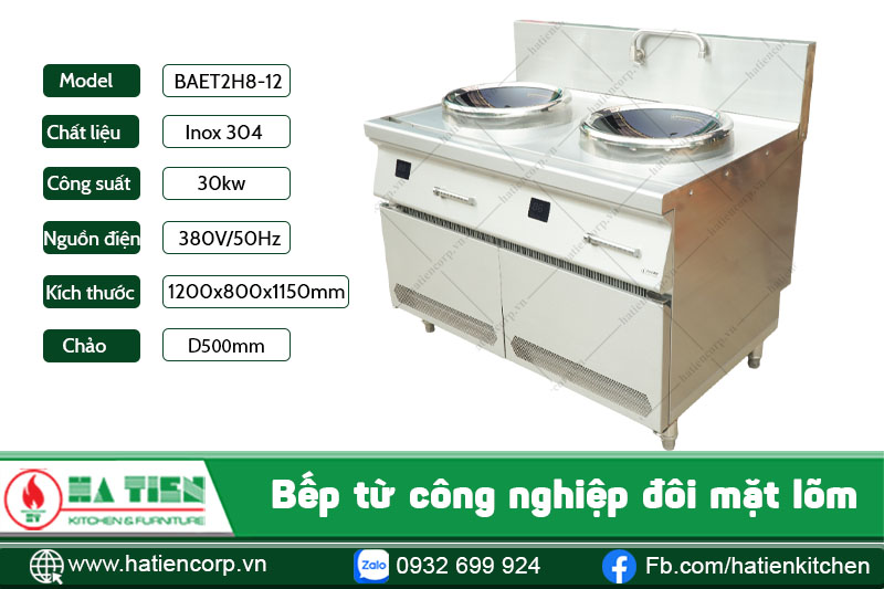 Bếp từ công nghiệp đôi mặt lõm