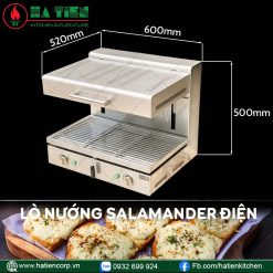 lò nường điện salamander