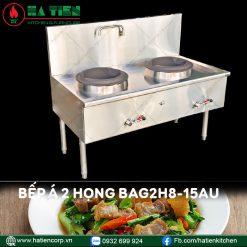 bếp á công nghiệp 2 họng