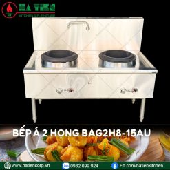 bếp á công nghiệp 2 họng
